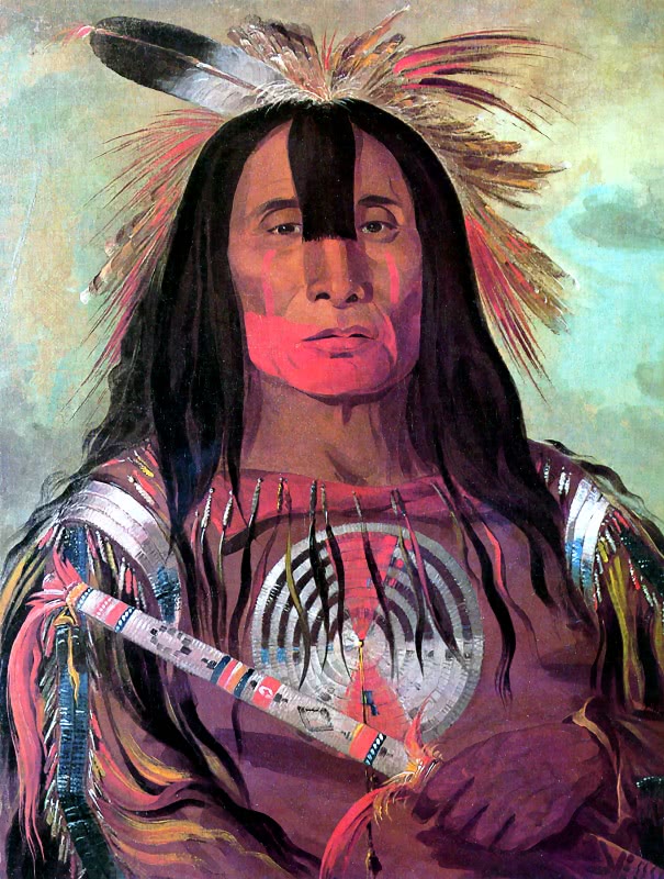 Blackfoot Chief