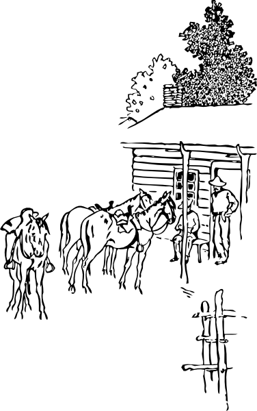 horse camp