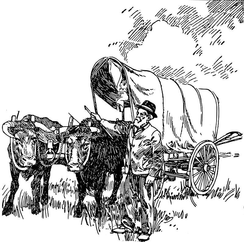 ox wagon