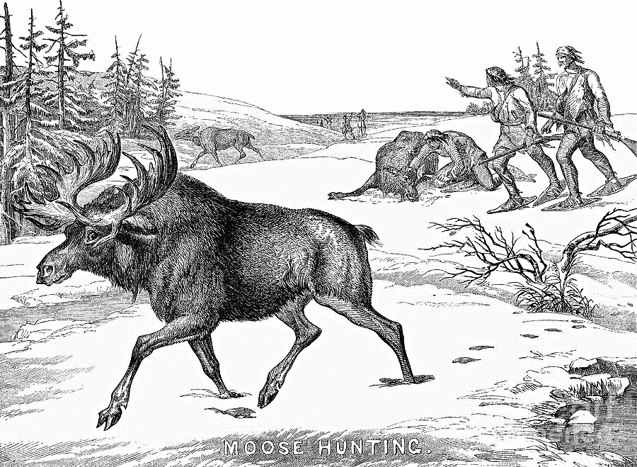 moose hunting 1854