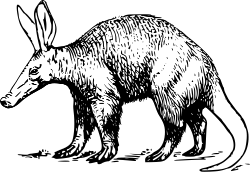 Aardvark 3