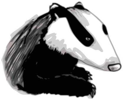 badger sketch