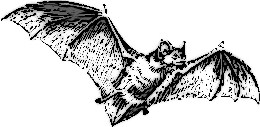 bat flying stylized