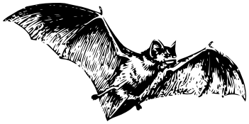 bat lineart
