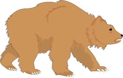 bear 2