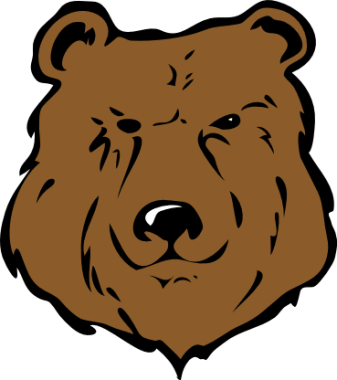 bear head 1