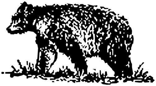 black bear sketch 2
