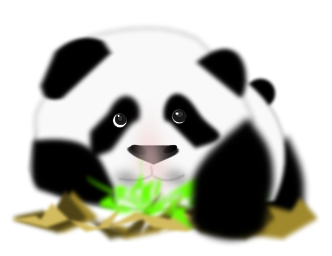 gurica panda