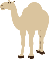 camel grinning