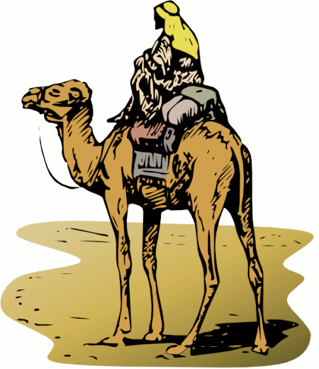 camel with rider