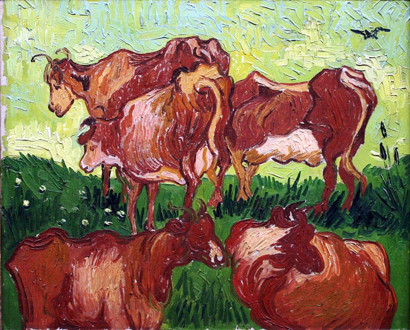 Cattle Van Gogh