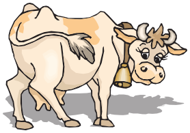 cow wearing bell