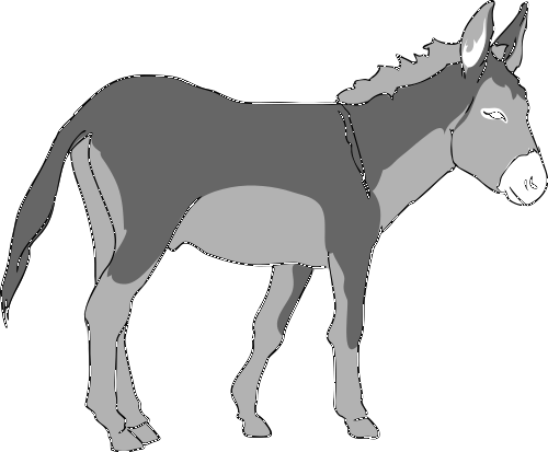 Donkey bw 06
