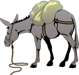 donkey w pack