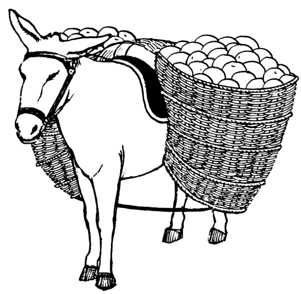 donkey with pannier