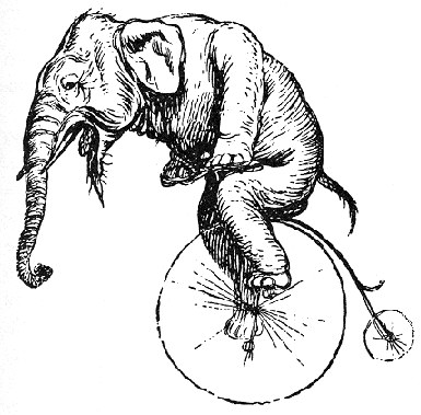 elephant on a bike