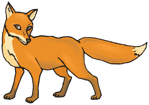 fox shy