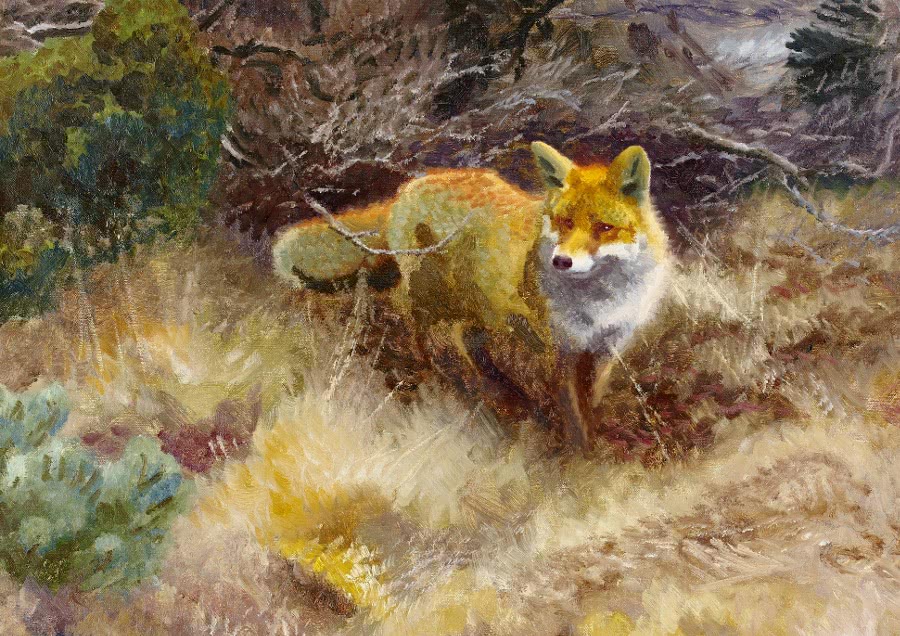 Fox and landscape 1915