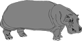 Hippo small