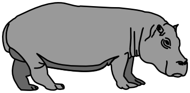 hippopotamus 3