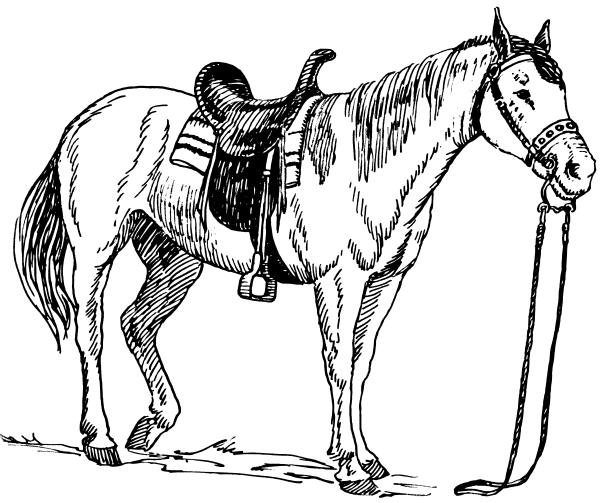 Pommel horse