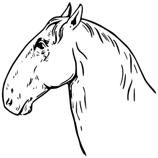 Ram-headed horse