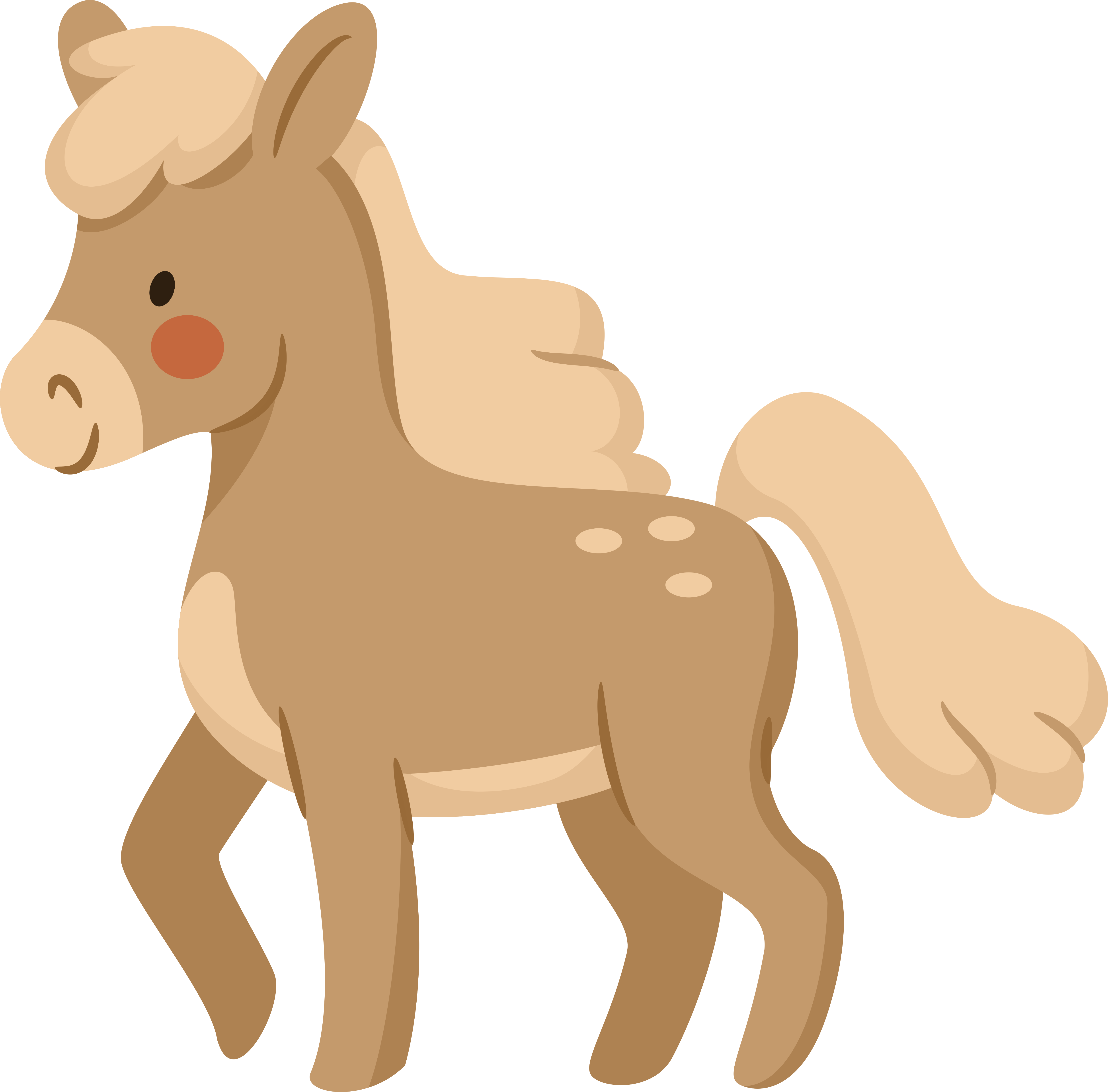 brown-pony