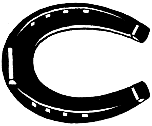horseshoe black