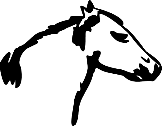horse head simple sketch