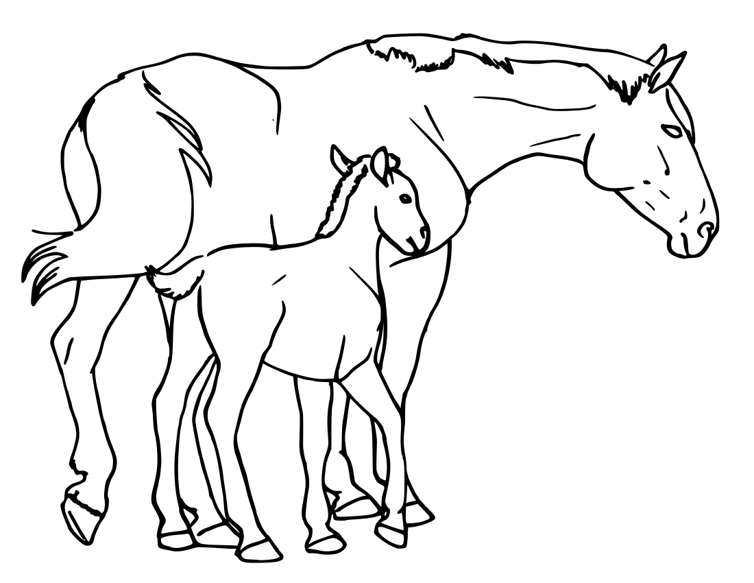 horse mare and foal