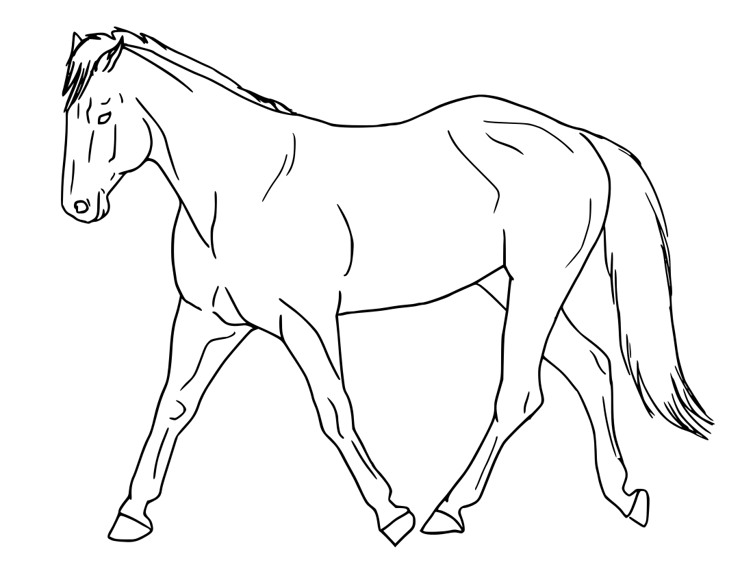 horse trot sketch