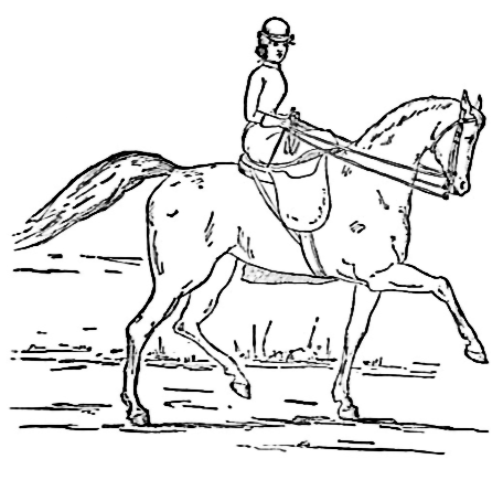 horse woman side saddle