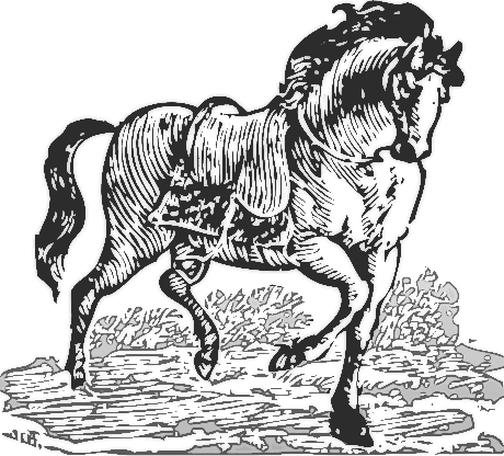 woodcut horse