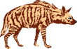 Hyena 1