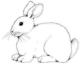 bunny BW