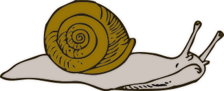 snail 2
