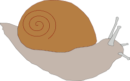 snail 4
