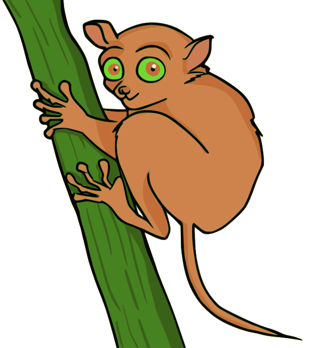 tarsier