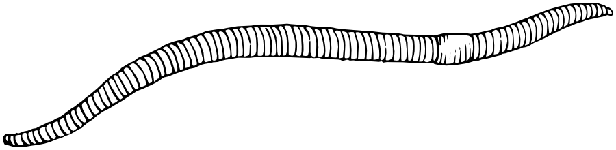 Earth worm lineart