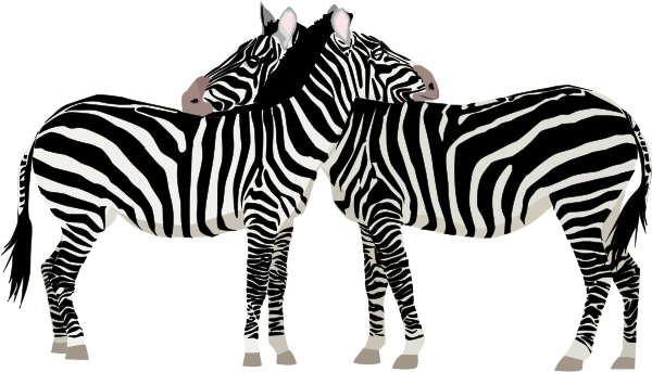 zebras two