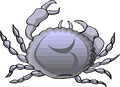 Crab 19