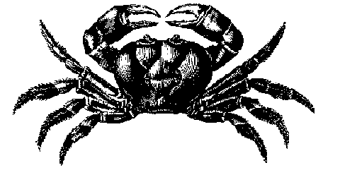 crab 8