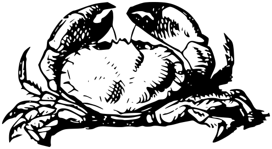 crab lineart