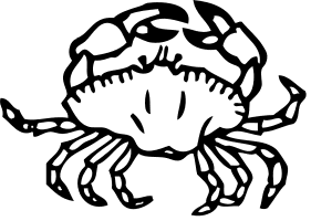 crab small 1