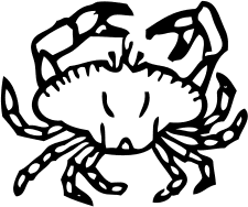 crab small 2