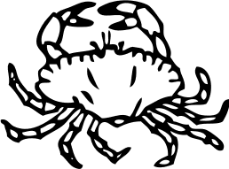 crab small 3