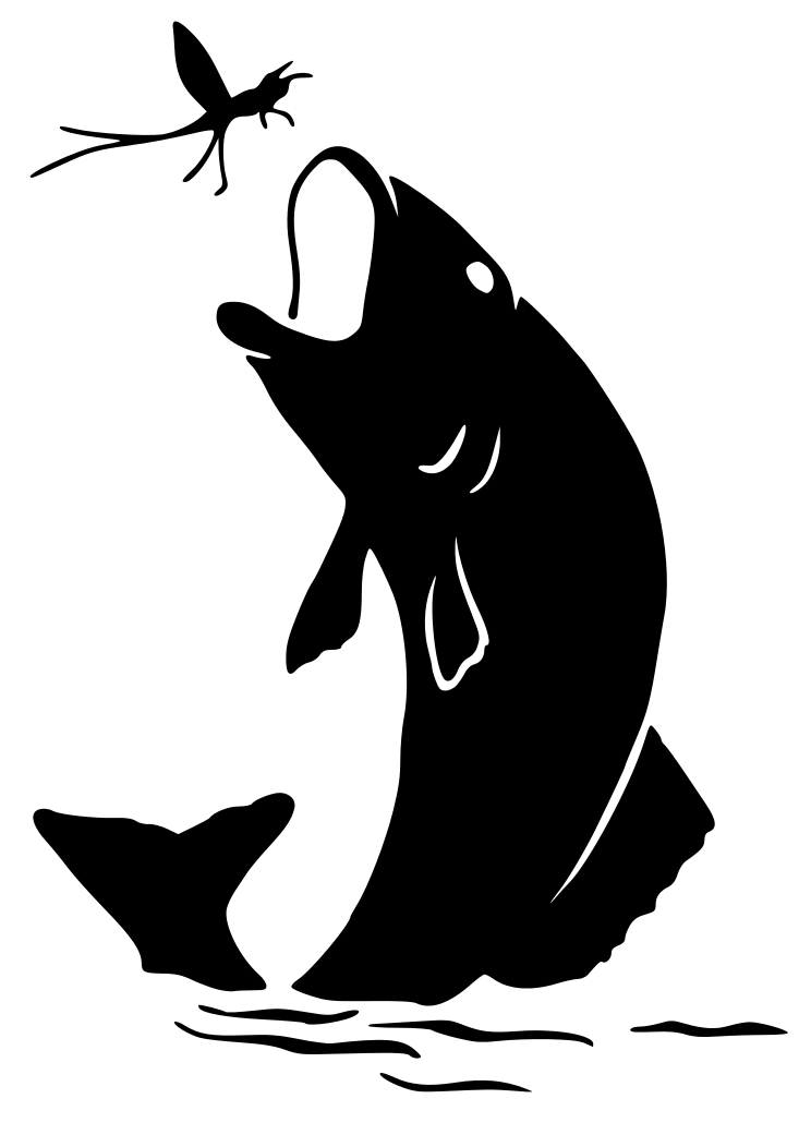 clipart catching a fish - photo #11