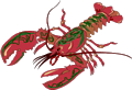 Lobster 07