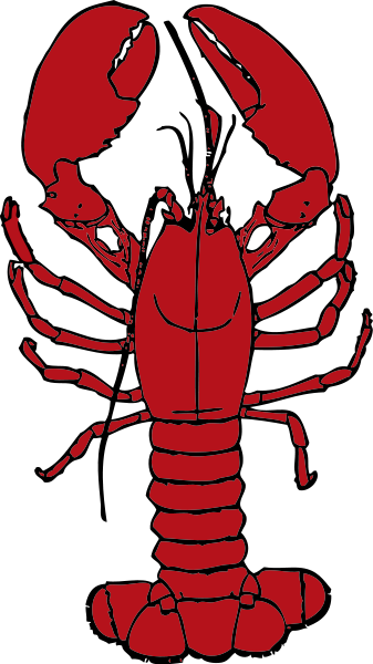 lobster large red