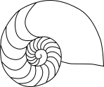 Nautilus outline